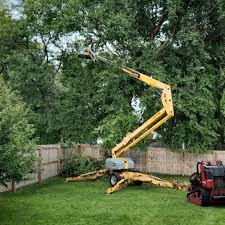 Best Firewood Processing and Delivery  in Worthington Hills, KY